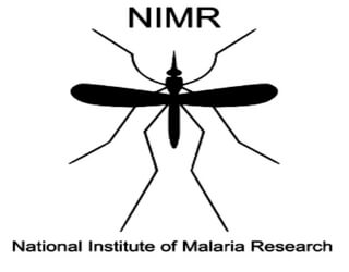 nimr-national-institute-of-malariya-research-icmr-320x250