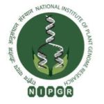 National Institute of Plant Genome Research (NIPGR), Delhi-226x220